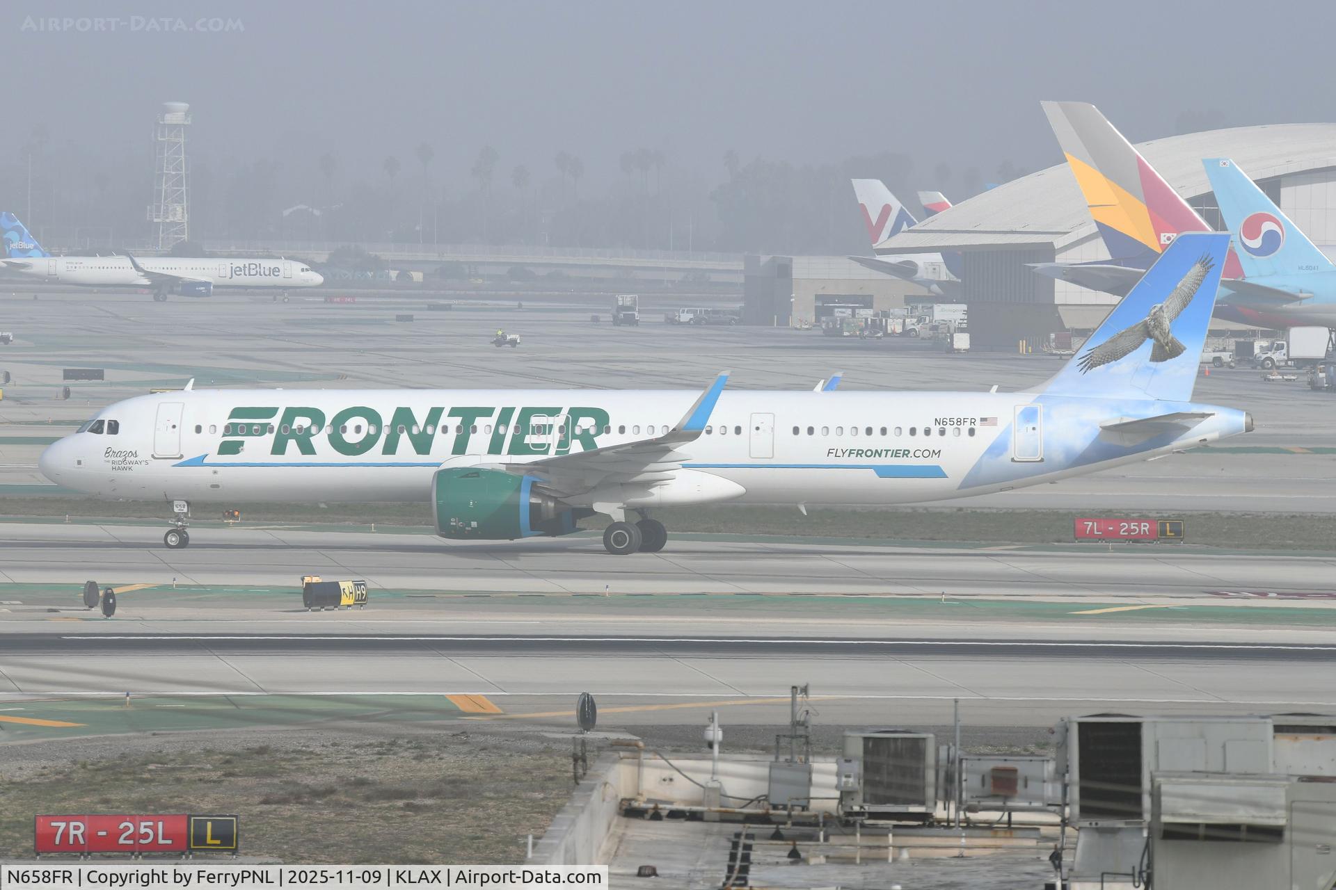 N658FR, 2024 Airbus A321-271NX C/N 12216, Fog is starting to lift as this Frontier A321N arrives.
Brazos the Ridgway's Hawk