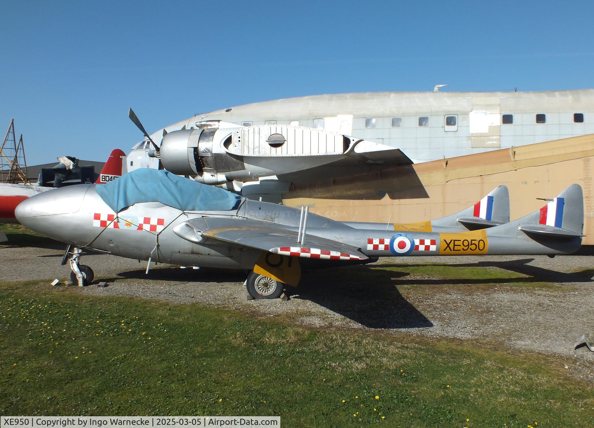 XE950, De Havilland DH-115 Vampire T.11 C/N 15463, De Havilland D.H.115 Vampire T11 at the Ailes Anciennes Toulouse Museum, Blagnac