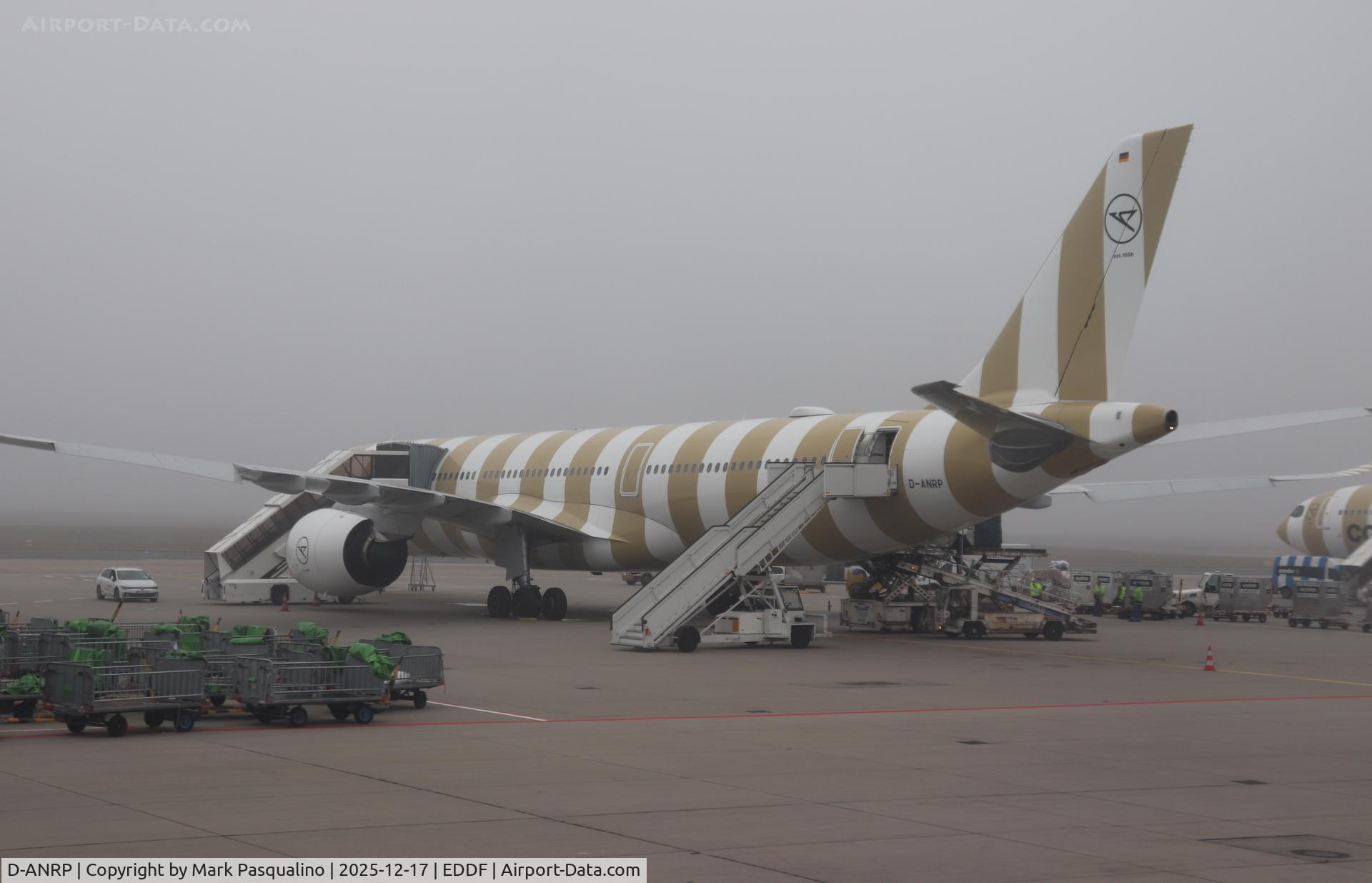 D-ANRP, 2024 Airbus A330-941N C/N 2065, Airbus A330-941N