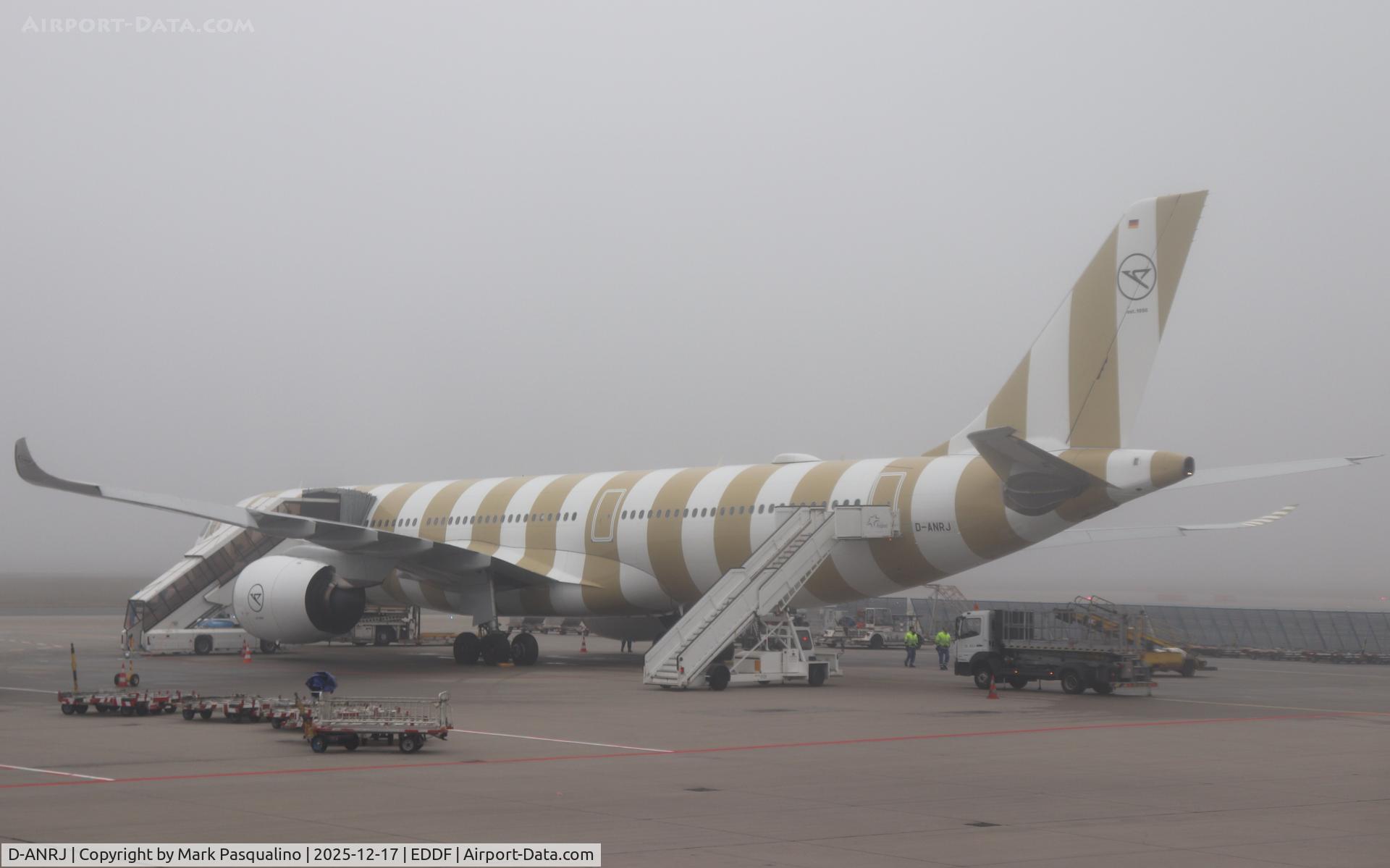 D-ANRJ, Airbus A330-941 C/N 2033, Airbus A330-941