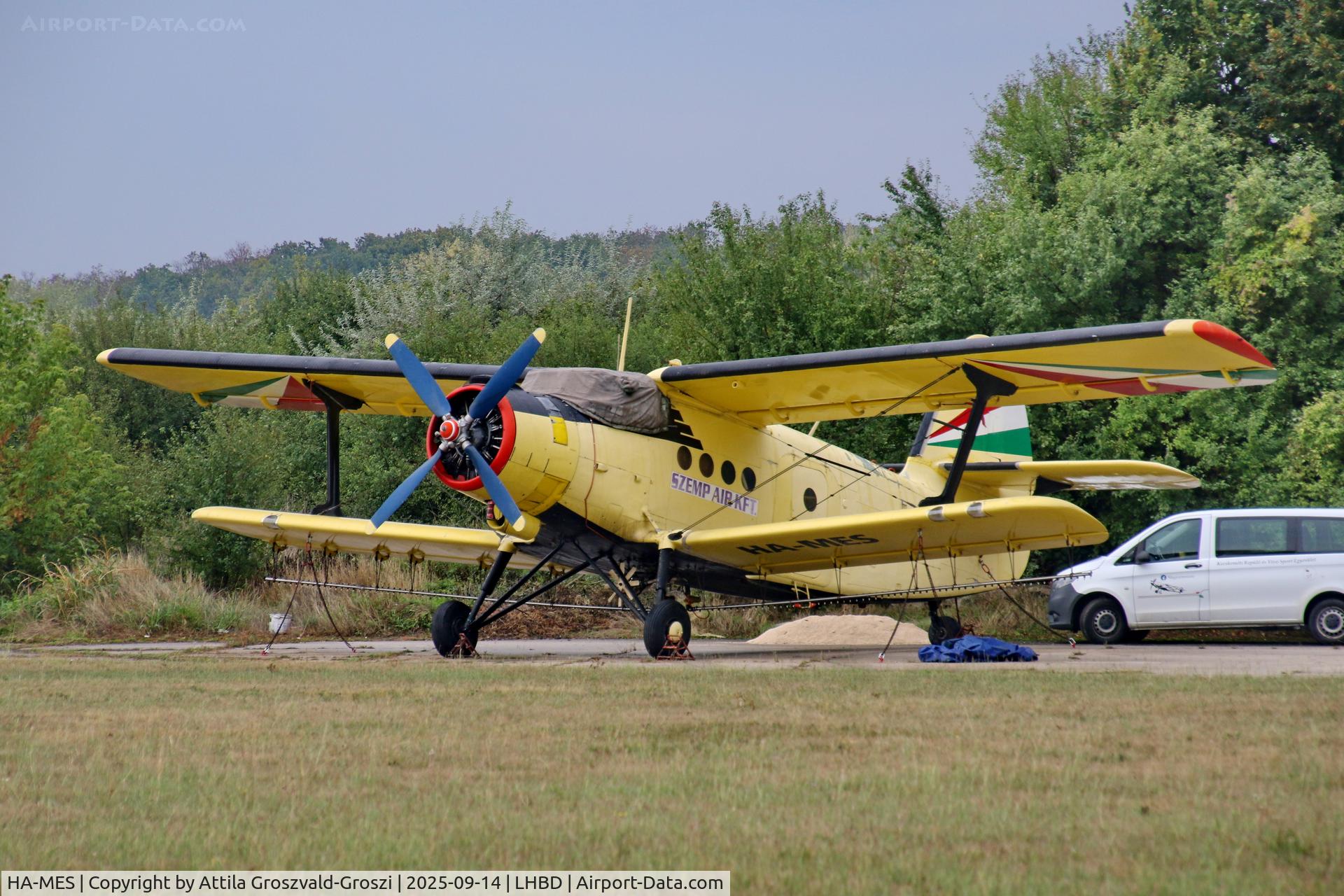 HA-MES, 1981 PZL-Mielec AN-2R C/N 1G194-28, LHBD - Börgönd Airport, Hungary