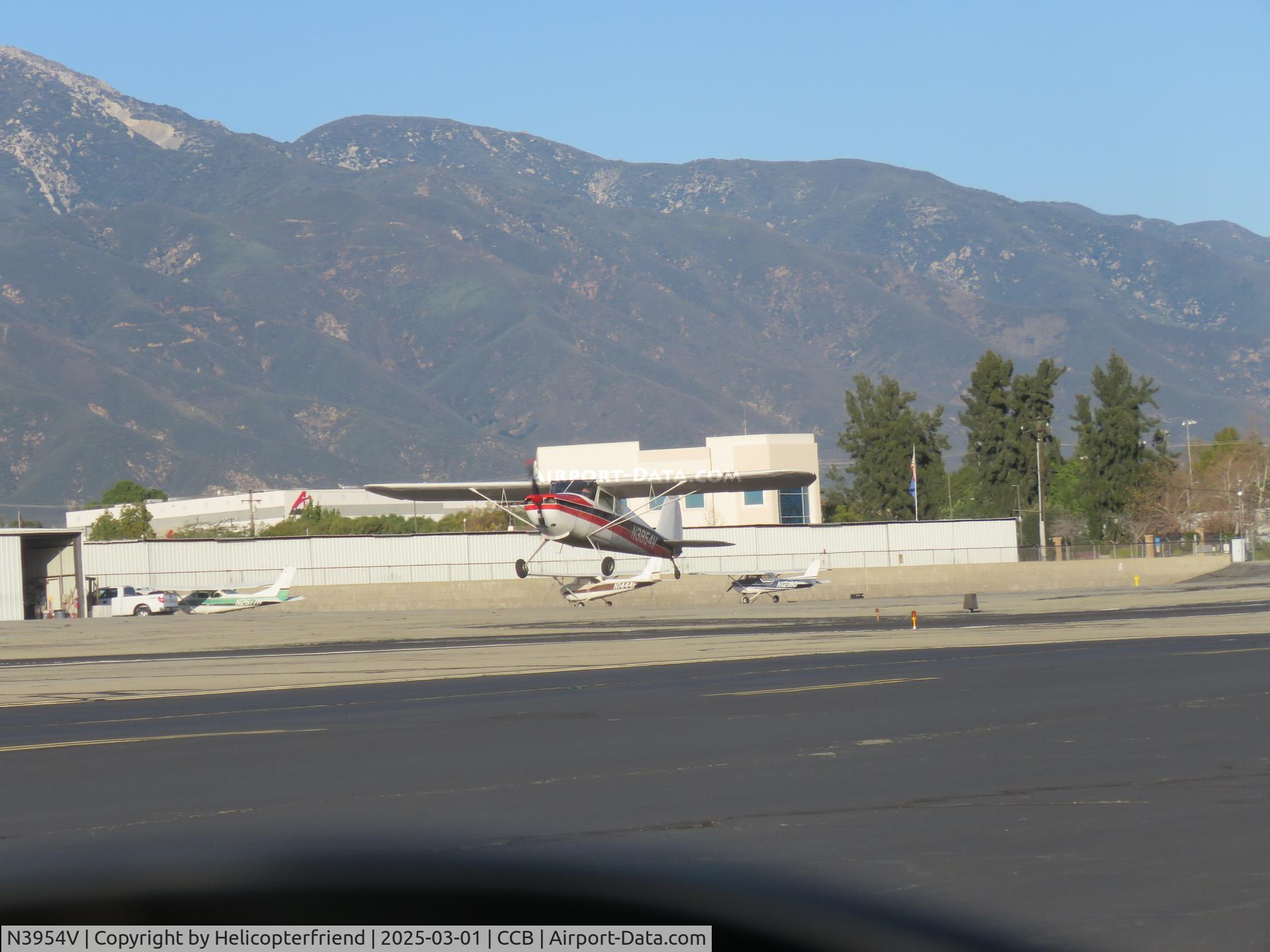 N3954V, 1948 Cessna 170 C/N 18273, Quick take off