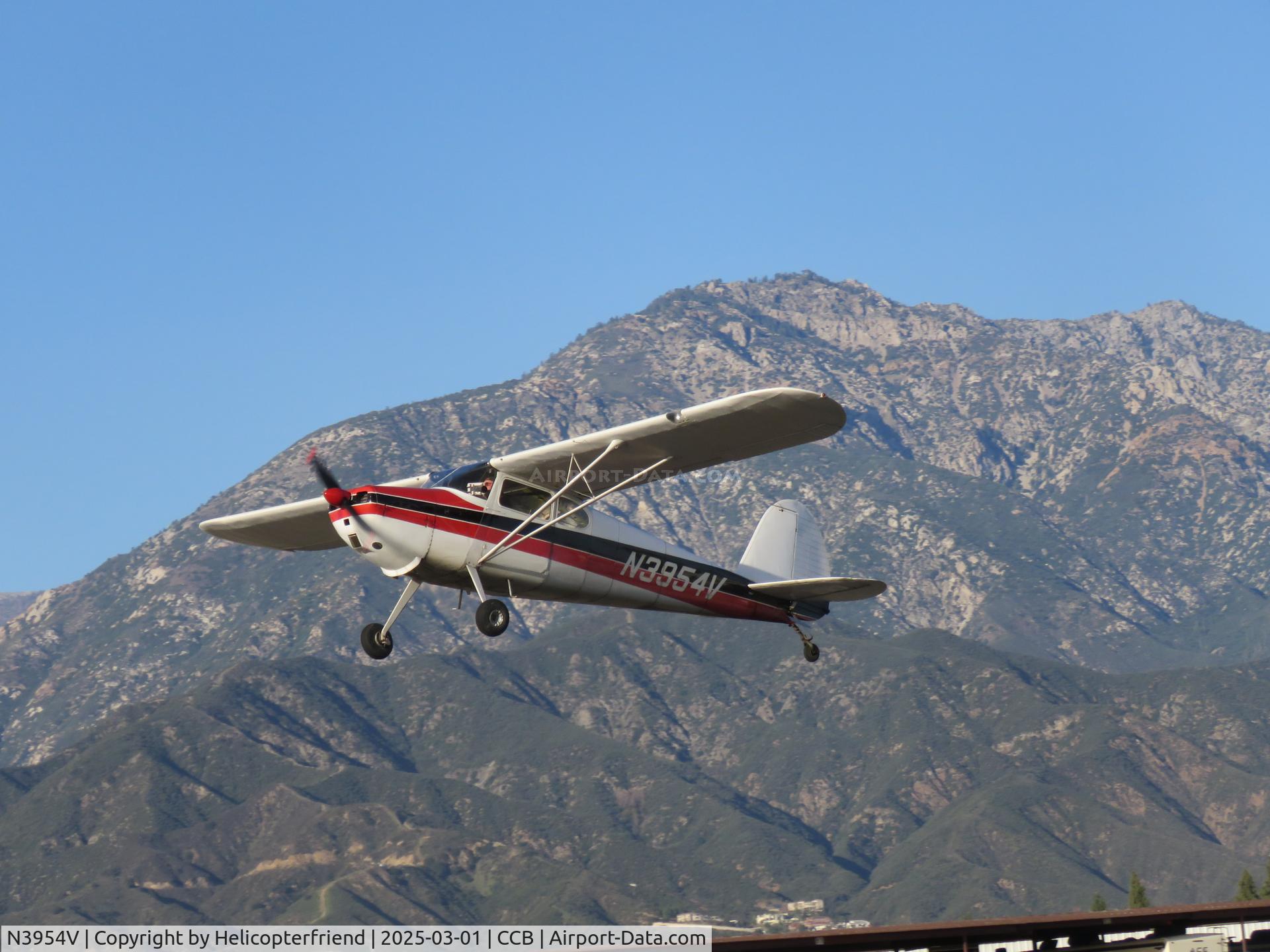 N3954V, 1948 Cessna 170 C/N 18273, Climbing out