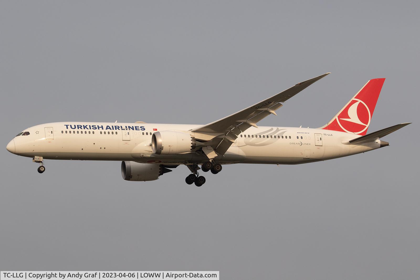 TC-LLG, 2019 Boeing 787-9 Dreamliner C/N 65807, Turkish Airlines 787-9