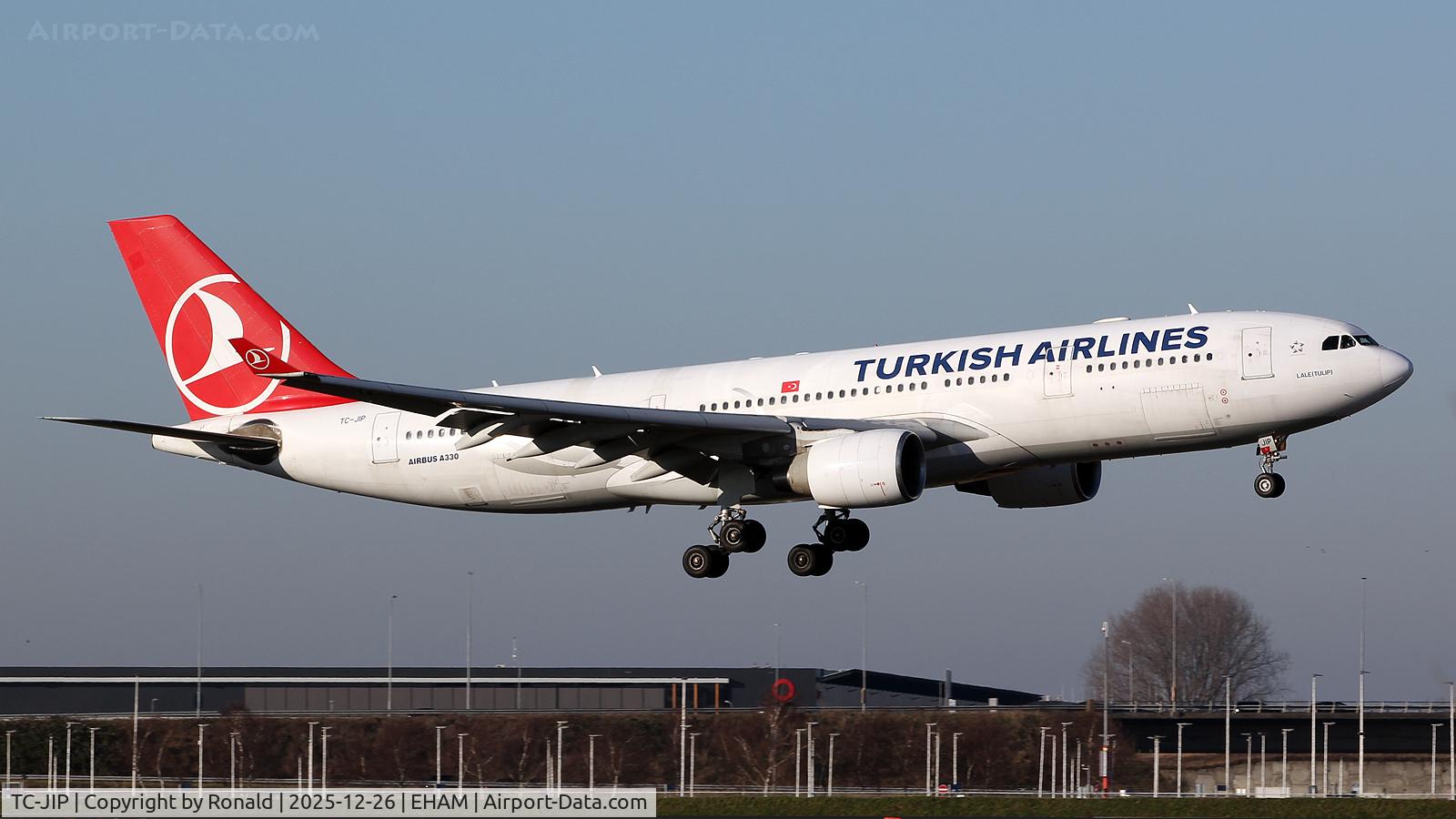 TC-JIP, 2007 Airbus A330-223 C/N 876, at eham
