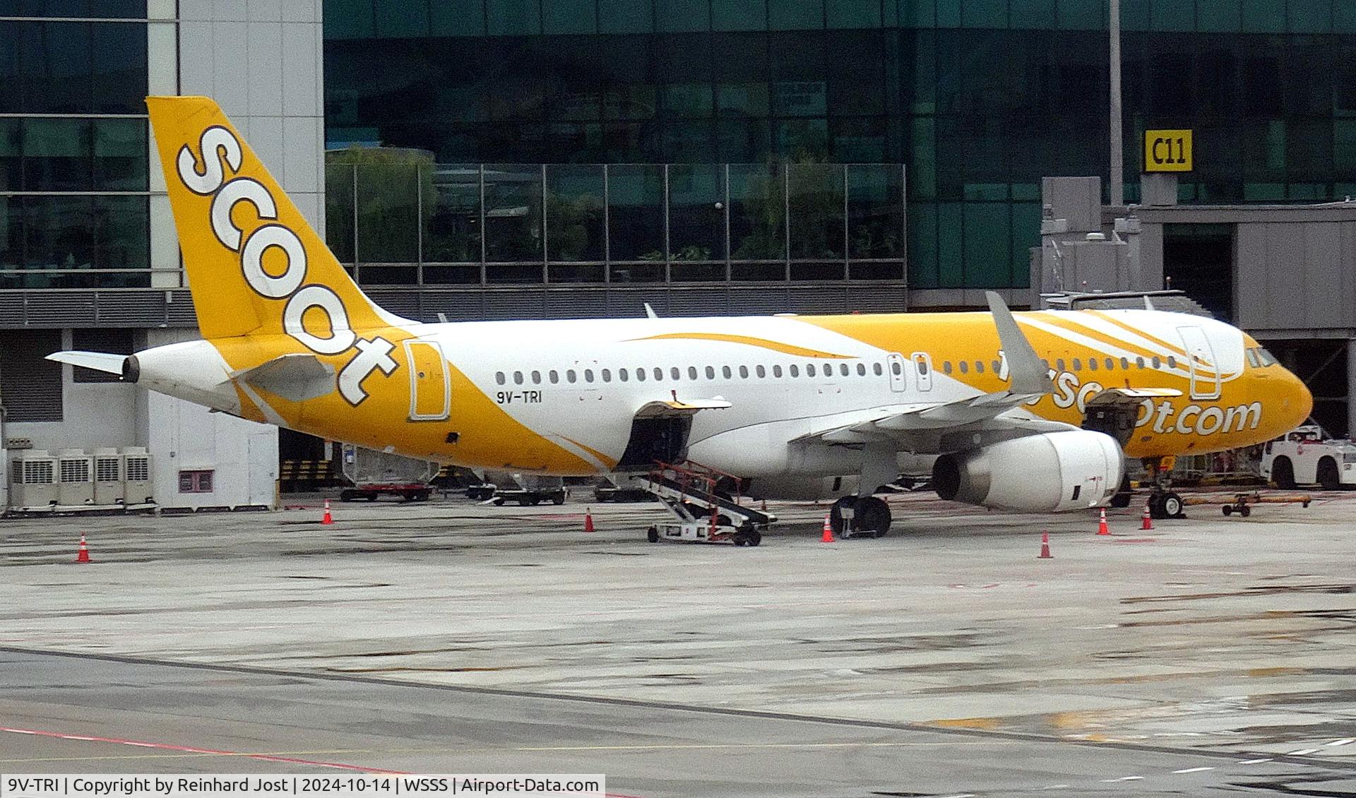 9V-TRI, 2013 Airbus A320-232 C/N 5596, With Flyscoot titles at Singapore. It later became TC-LBU.