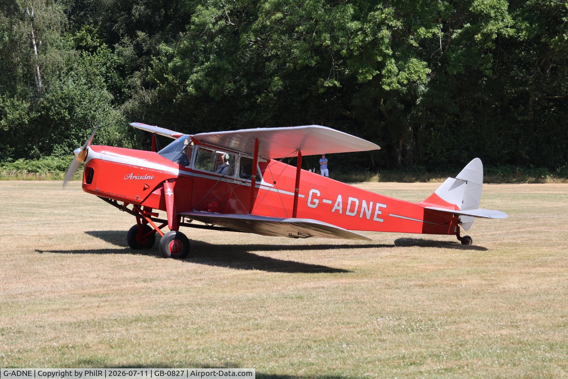 G-ADNE, 1936 De Havilland DH.87B Hornet Moth, c/n 8089, G-ADNE 1936 DH87B Hornet Moth West Tisted Fly In 
