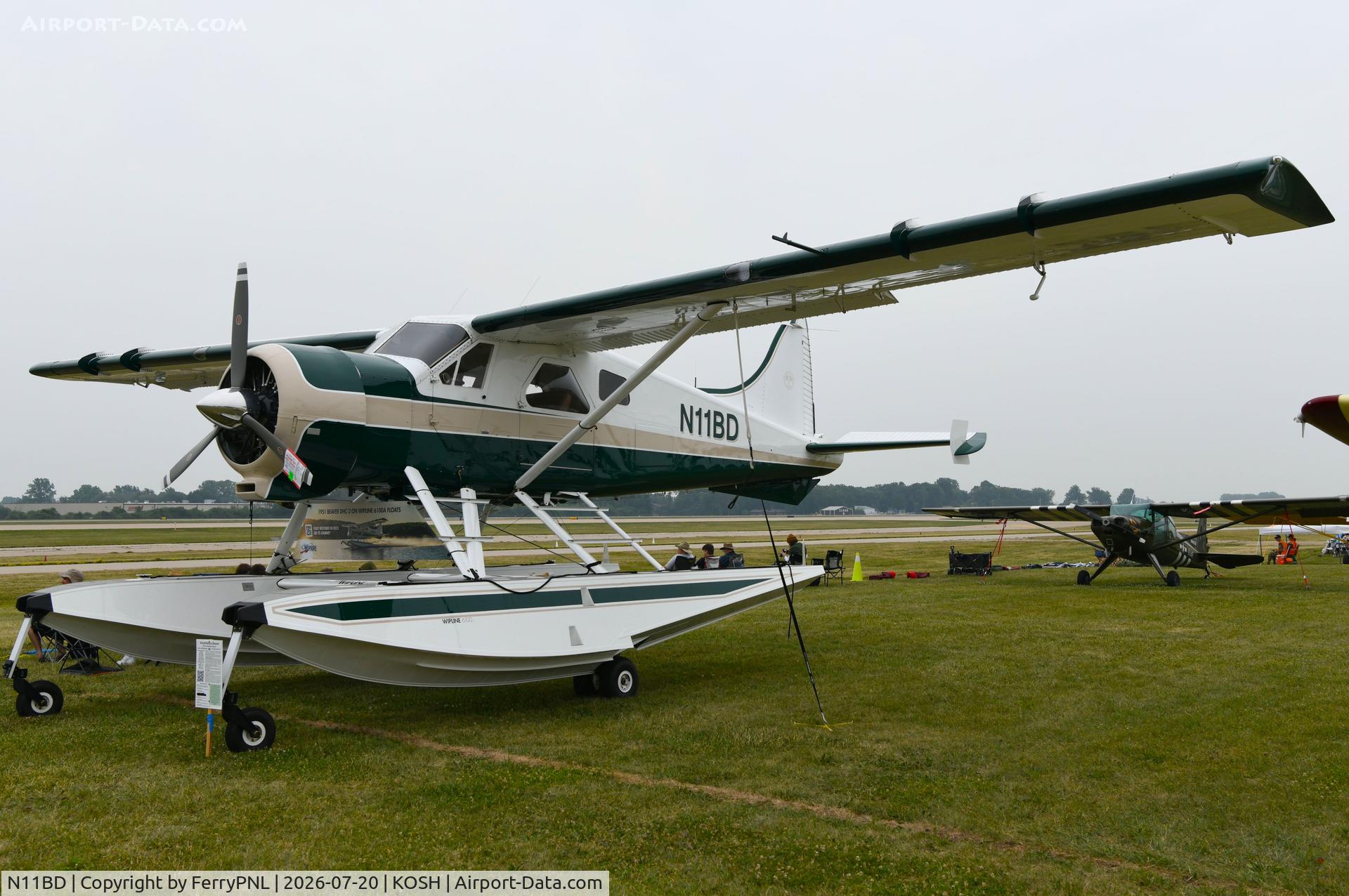 N11BD, 1951 De  Havilland Canada DHC-2 Beaver, c/n 151, Nice looking DHC-2