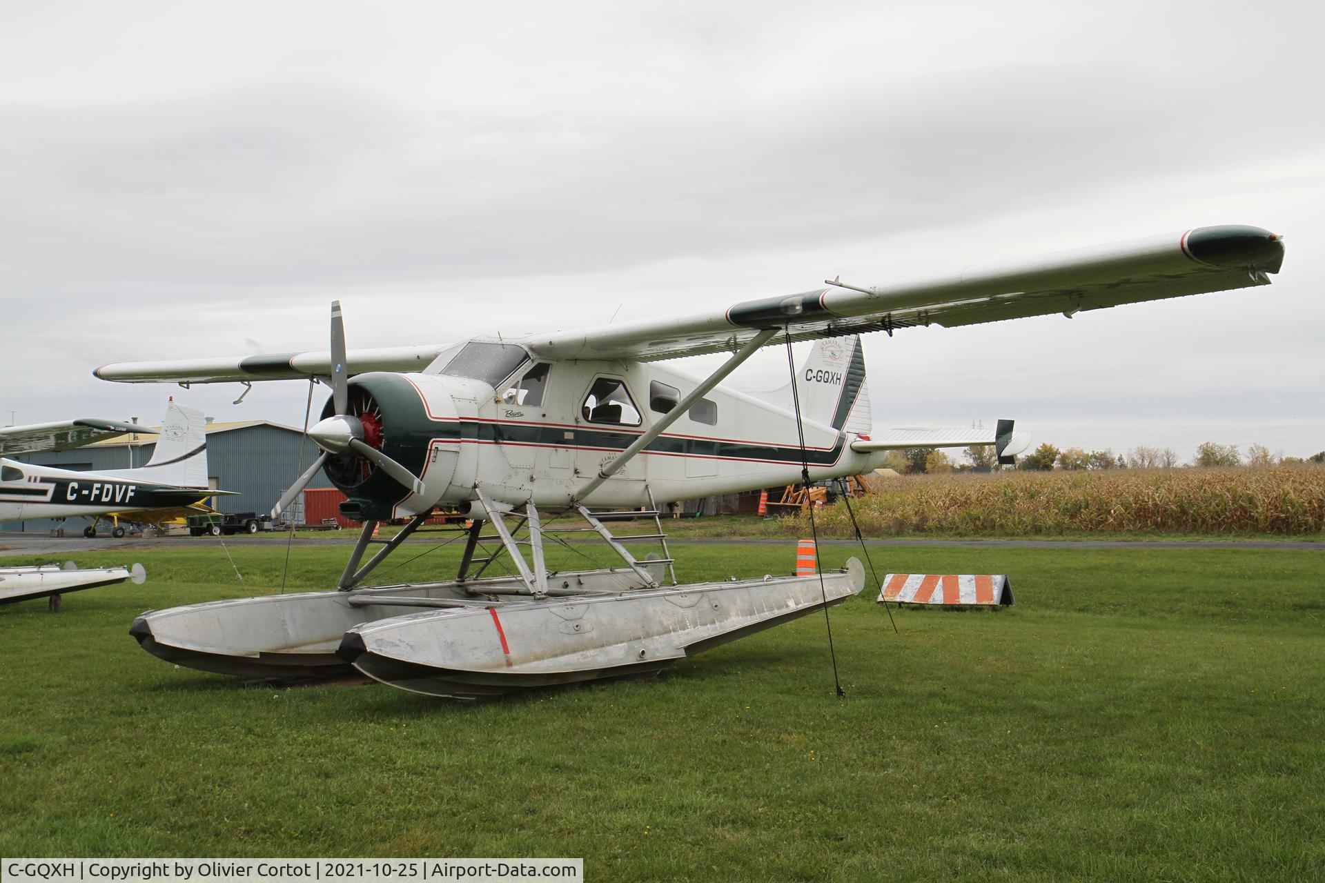 Aircraft C-GQXH, 1953 De Havilland Canada DHC-2 MK. I, c/n 536, 2021, photo by Olivier Cortot
