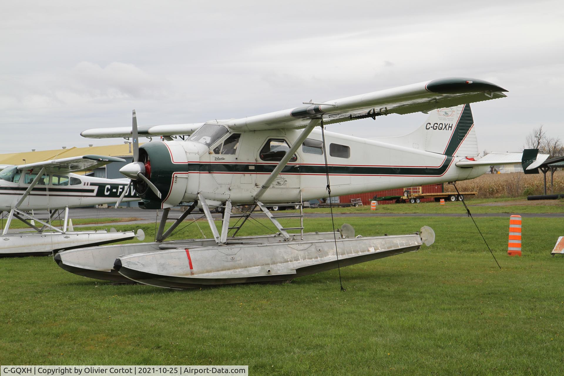 Aircraft C-GQXH, 1953 De Havilland Canada DHC-2 MK. I, c/n 536, 2021, photo by Olivier Cortot