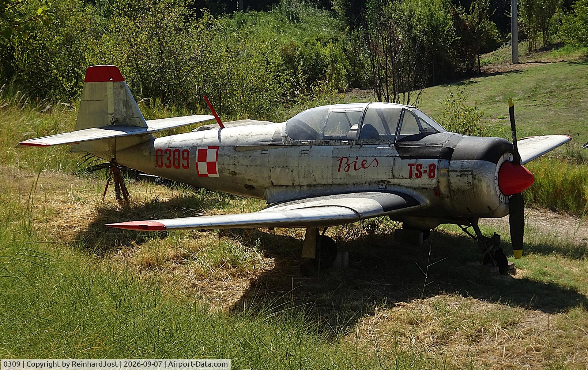 Aircraft 0309, 1956 PZL-Mielec TS-8 Bies, c/n 1E0309, Polish trainer at the Parco Tematico dell'Aviazione at La Cerbaiola near Rimini, Italy, photo by ReinhardJost