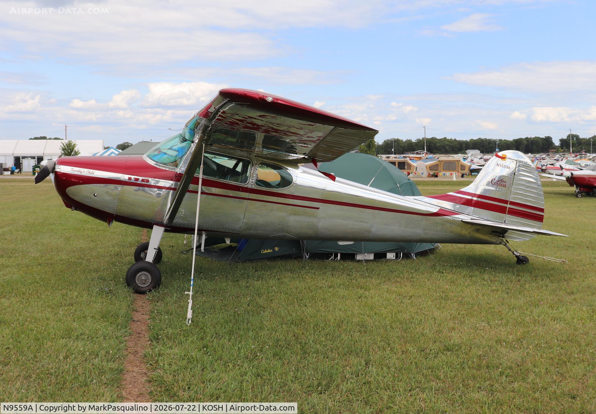 Aircraft N9559A, 1949 Cessna 170A, c/n 19120, Cessna 170A, at KOSH, photo by MarkPasqualino