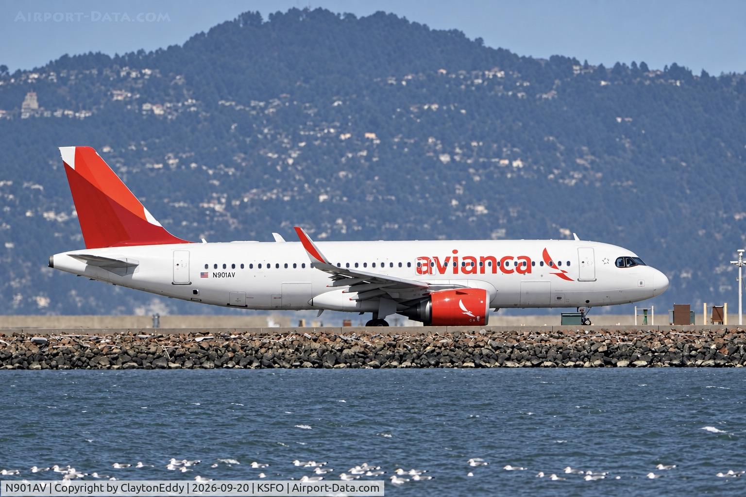 Aircraft N901AV, 2024 Airbus A320-251N, c/n 11912, SFO 2026, at KSFO, photo by ClaytonEddy