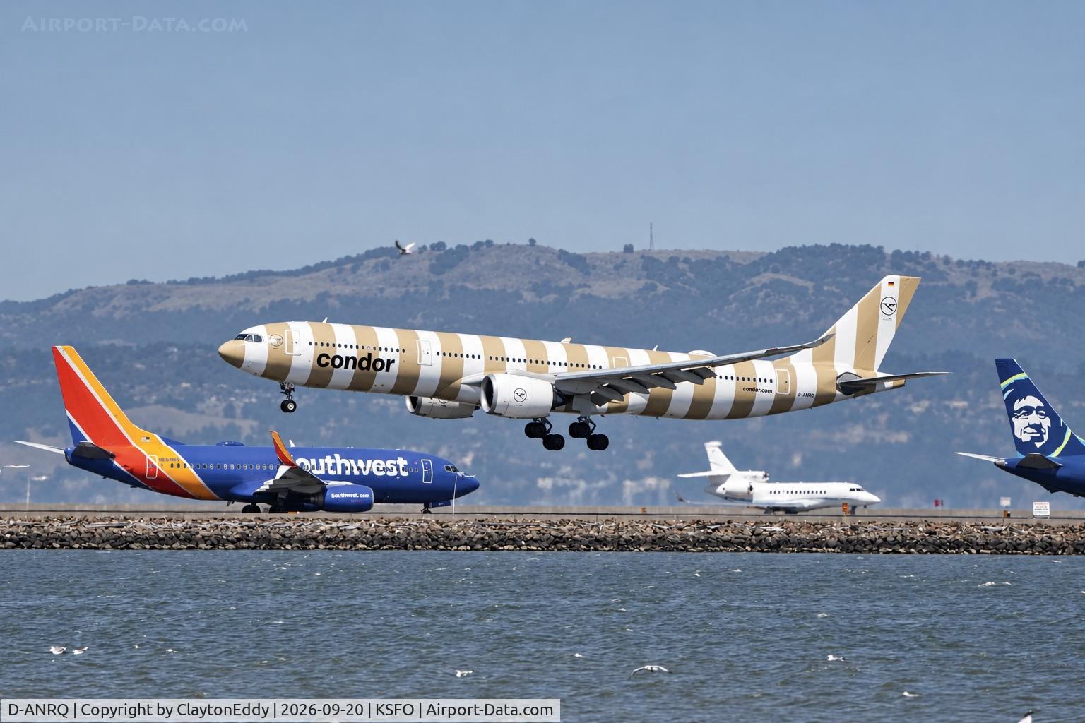 Aircraft D-ANRQ, 2024 Airbus A330-941N, c/n 2079, SFO 2026, at KSFO, photo by ClaytonEddy