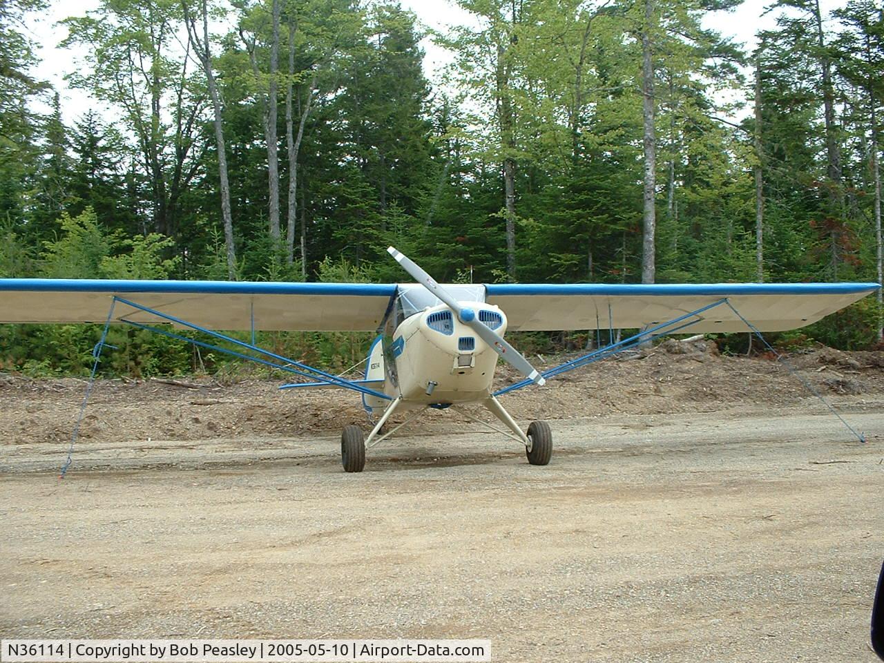 N36114, 1941 Taylorcraft BL12-65 C/N 3081, Peasley Field, Otis, Maine