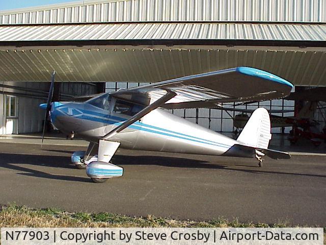 N77903, 1946 Luscombe 8A C/N 3630, Nice Plane