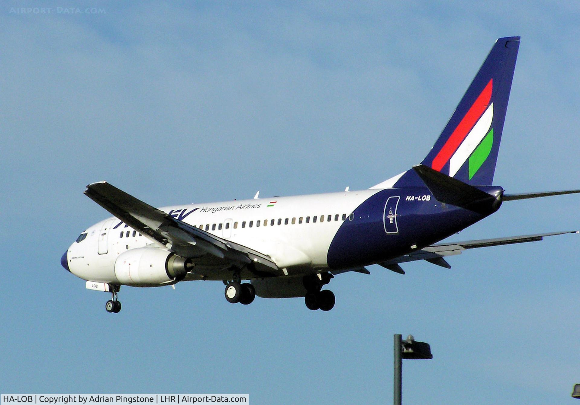 HA-LOB, 2003 Boeing 737-7Q8 C/N 29346, Malev Boeing 737-700 (HA-LOB) landing at London (Heathrow) Airport, Jan 2005
