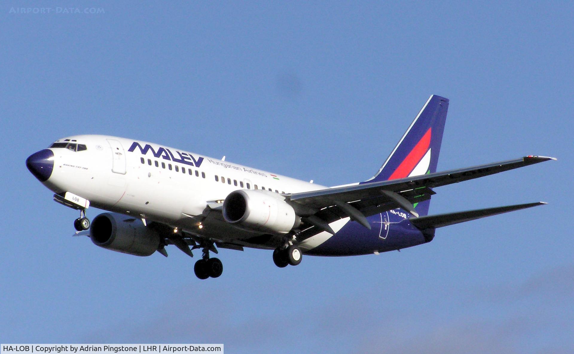 HA-LOB, 2003 Boeing 737-7Q8 C/N 29346, Malev Boeing 737-700 (HA-LOB) landing at London (Heathrow) Airport, Jan 2005