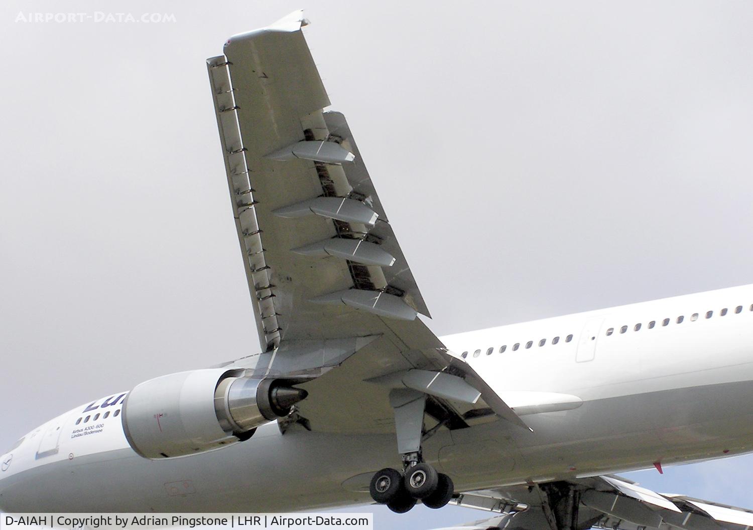 D-AIAH, 1986 Airbus A300B4-603 C/N 380, The wing of a Lufthansa Airbus A300B4-600 (D-AIAH) landing at London Heathrow Airport, England. July 2004
