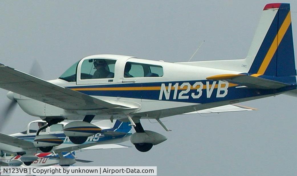 N123VB, 1991 American General AG-5B Tiger C/N 10056, Formation
