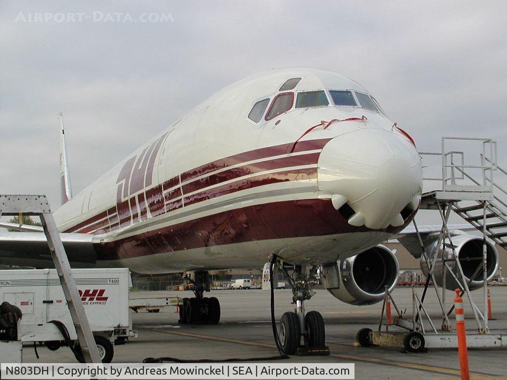 N803DH, 1969 McDonnell Douglas DC-8-73(F) C/N 46123, DHL DC-8-73 freighter at Seattle-Tacoma International Airport. ex Air Canada