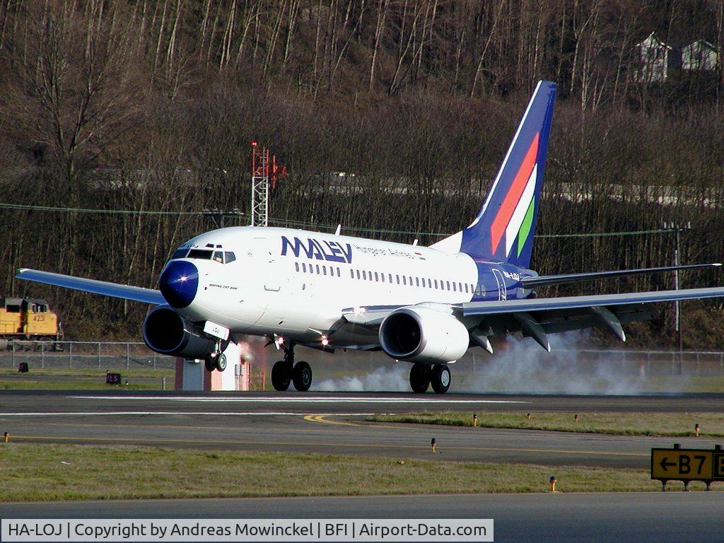 HA-LOJ, 2004 Boeing 737-6Q8 C/N 29349, Malev 737 at Boeing Field
