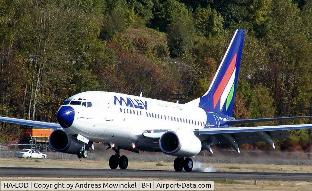 HA-LOD, 2003 Boeing 737-6Q8 C/N 28259, Malev 737 at Boeing Field