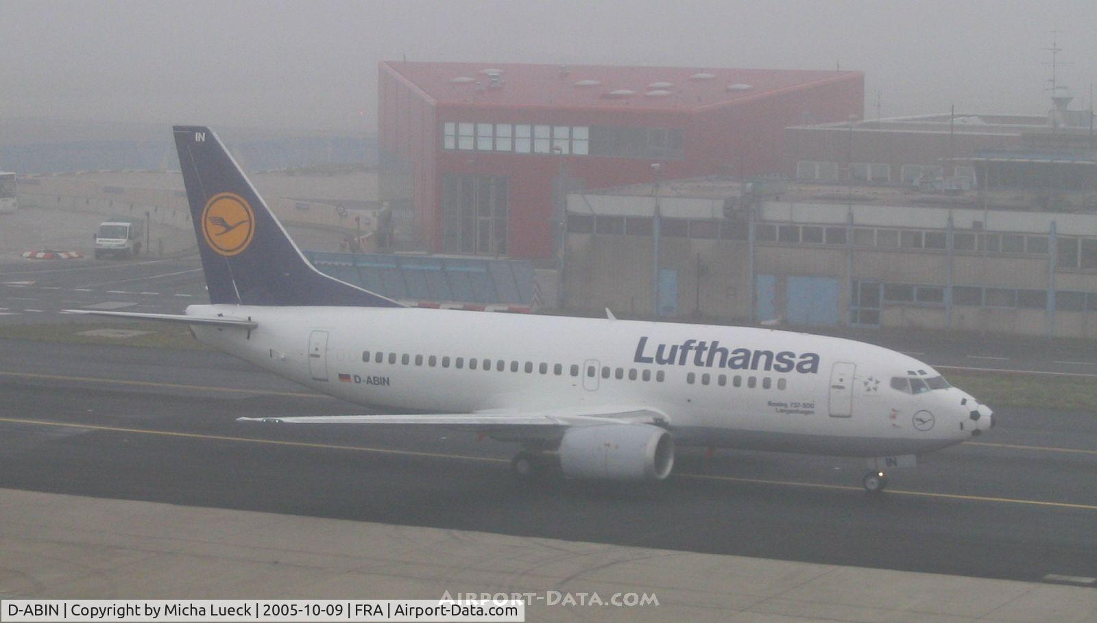 D-ABIN, 1991 Boeing 737-530 C/N 24938, A foggy day in Frankfurt/Main