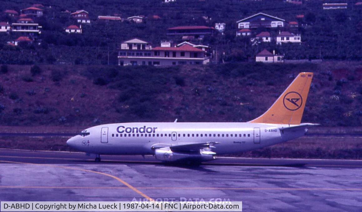 D-ABHD, 1981 Boeing 737-230 C/N 22635, Sadly, this aircraft crashed on approach to Izmir/Turkey on 02 January 1988