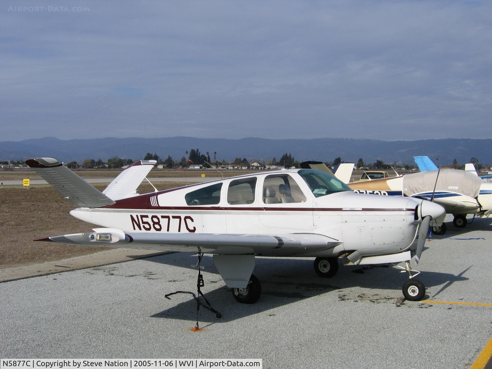 N5877C, 1951 Beech C35 Bonanza C/N D-2833, 1951 Beech C35 Bonanza at Watsonville, CA