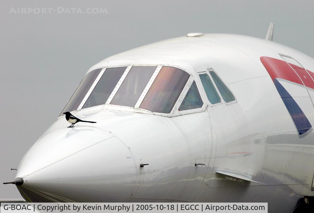G-BOAC, 1975 Aerospatiale-BAC Concorde 1-102 C/N 100-004, A magpie tries to steal the Manchester based Concorde.