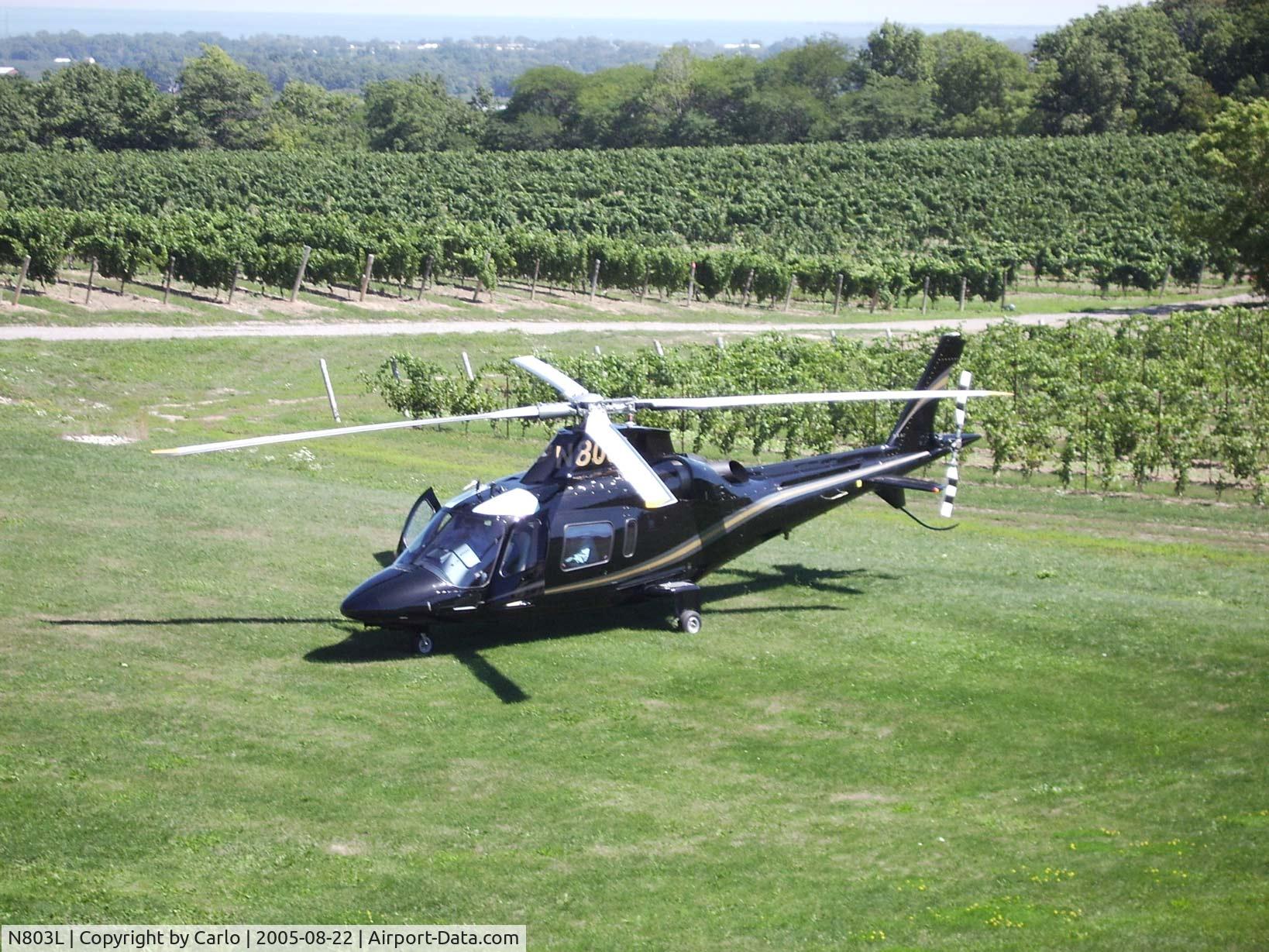 N803L, 2002 Agusta A-109E C/N 11145, Agusta A109E seen on Vineland Estates Winery Ontario (Canada)