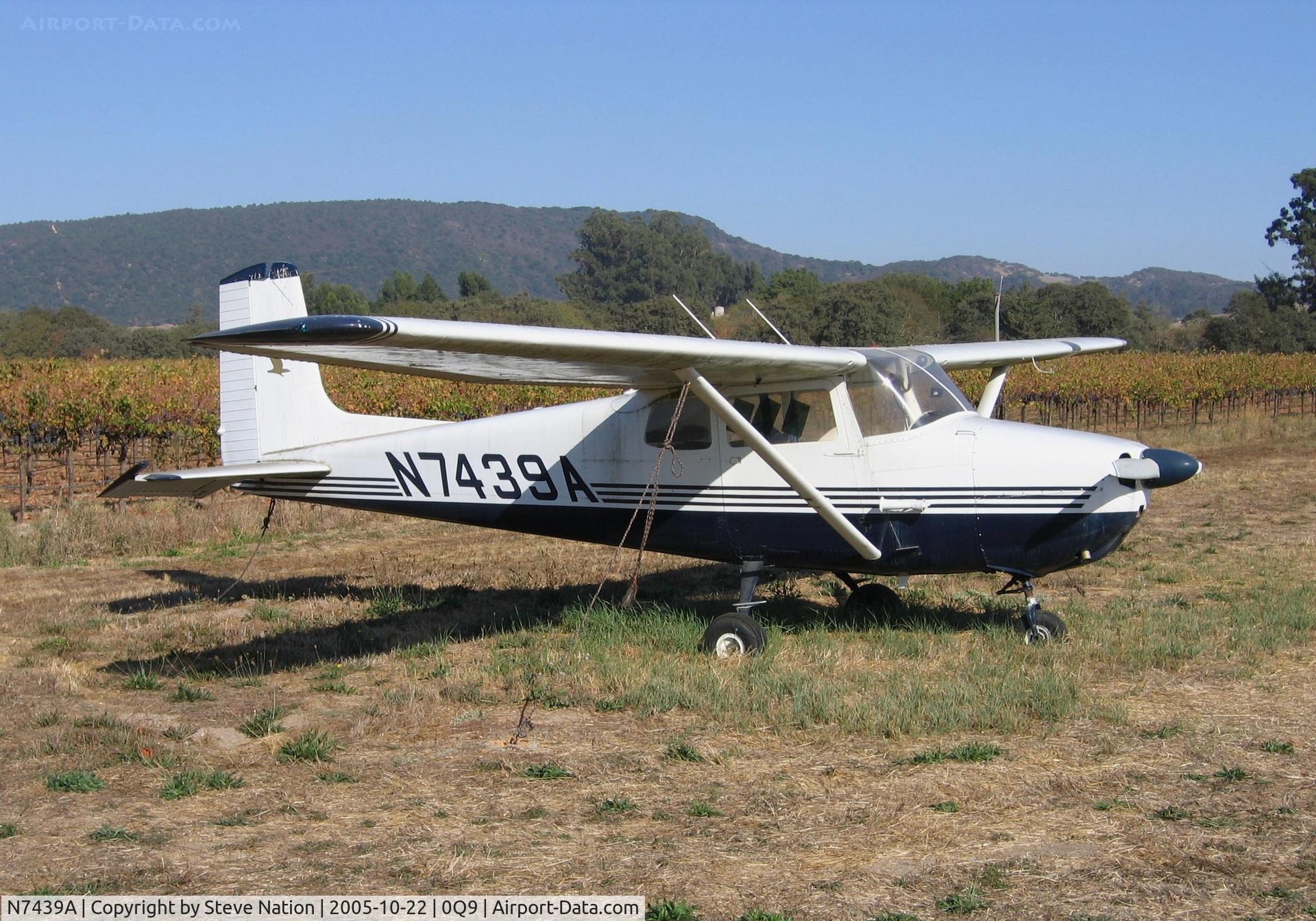 N7439A, 1956 Cessna 172 C/N 29539, Classic 1956 Cessna 172 with Zinfandel grapes in background at Sonoma Skypark, CA