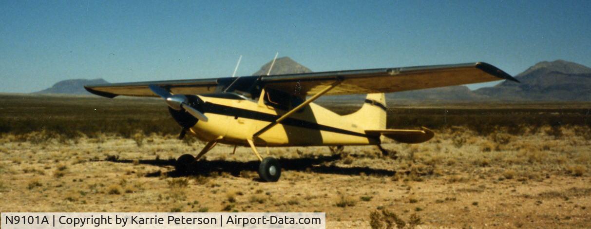 N9101A, 1949 Cessna 170A C/N 18860, This was taken out at West Tx airport