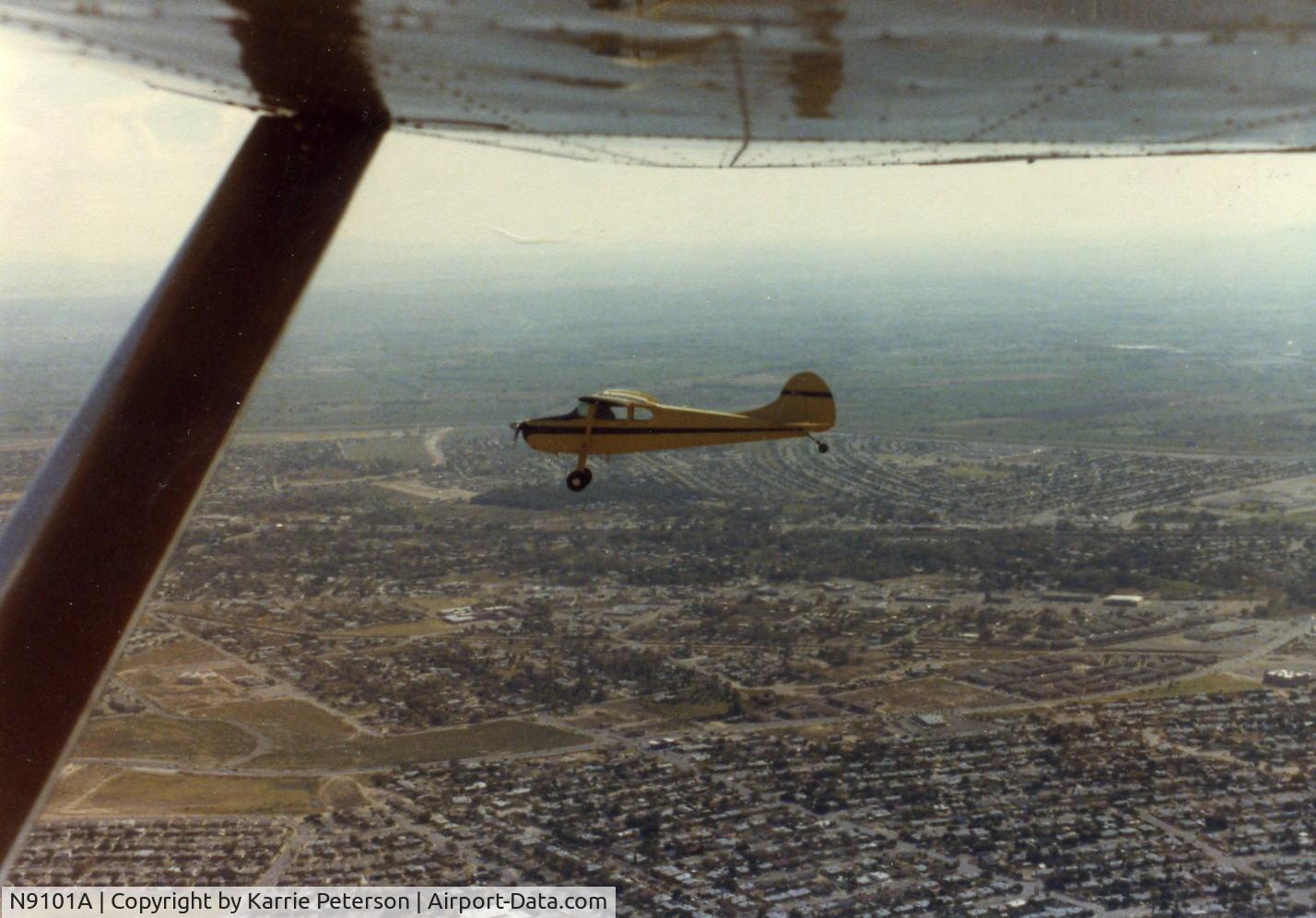 N9101A, 1949 Cessna 170A C/N 18860, in flight view