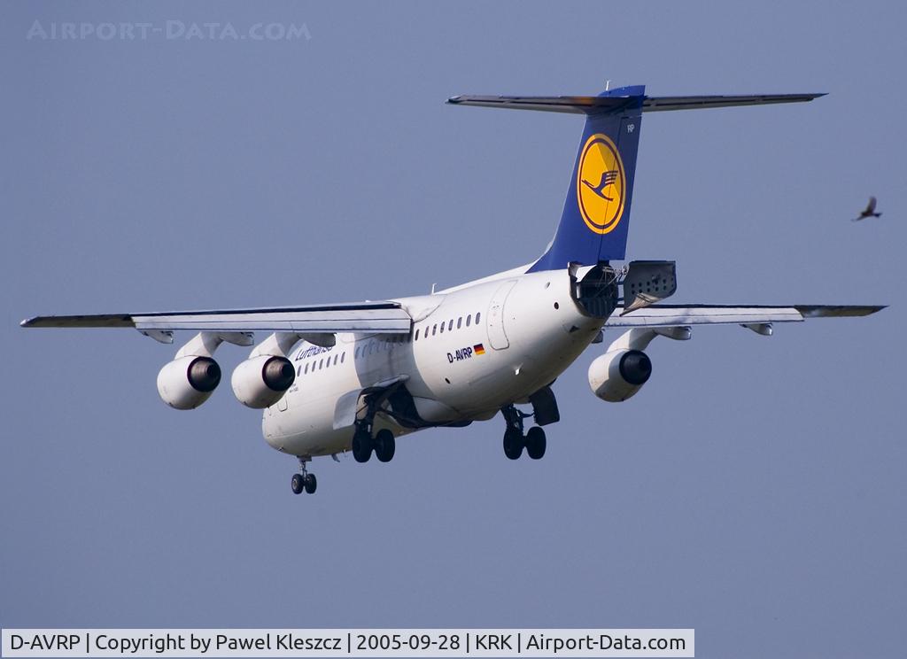 D-AVRP, 1997 British Aerospace Avro 146-RJ85 C/N E.2303, birds activity