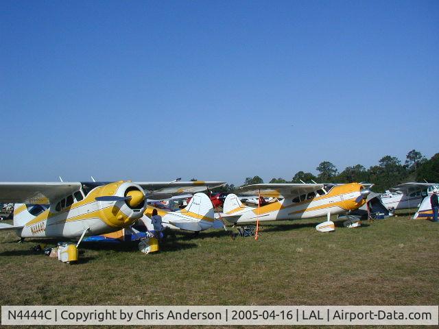 N4444C, 1953 Cessna 190 C/N 16029, Flight line at Sun & Fun 2005