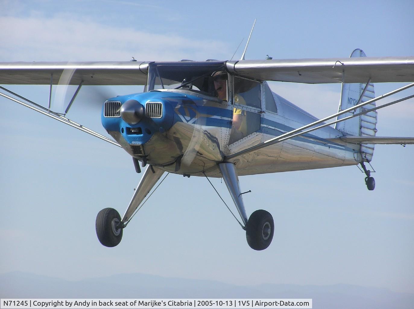 N71245, 1946 Luscombe 8A C/N 2672, O-200 conversion