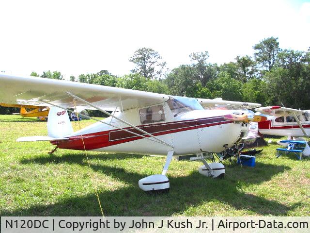N120DC, 1946 Cessna 120 C/N 12036, 120DC parked at sun&fun  05