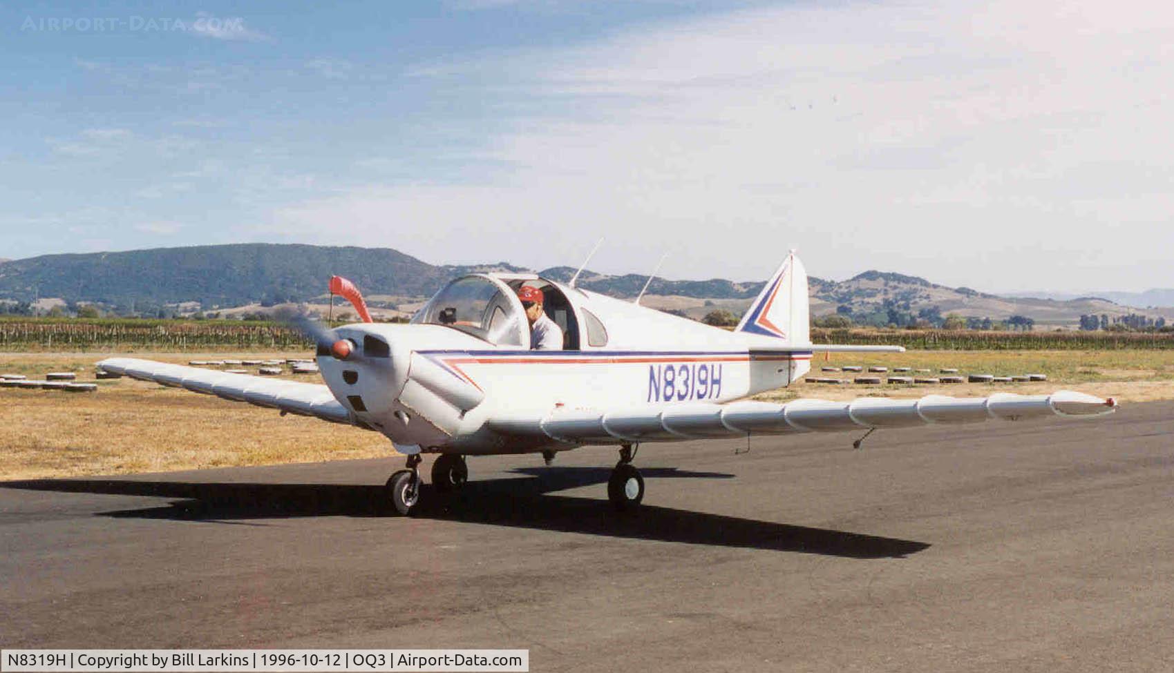 N8319H, 1948 Emigh TROJAN A-2 C/N 22, A painted version of a rare plane