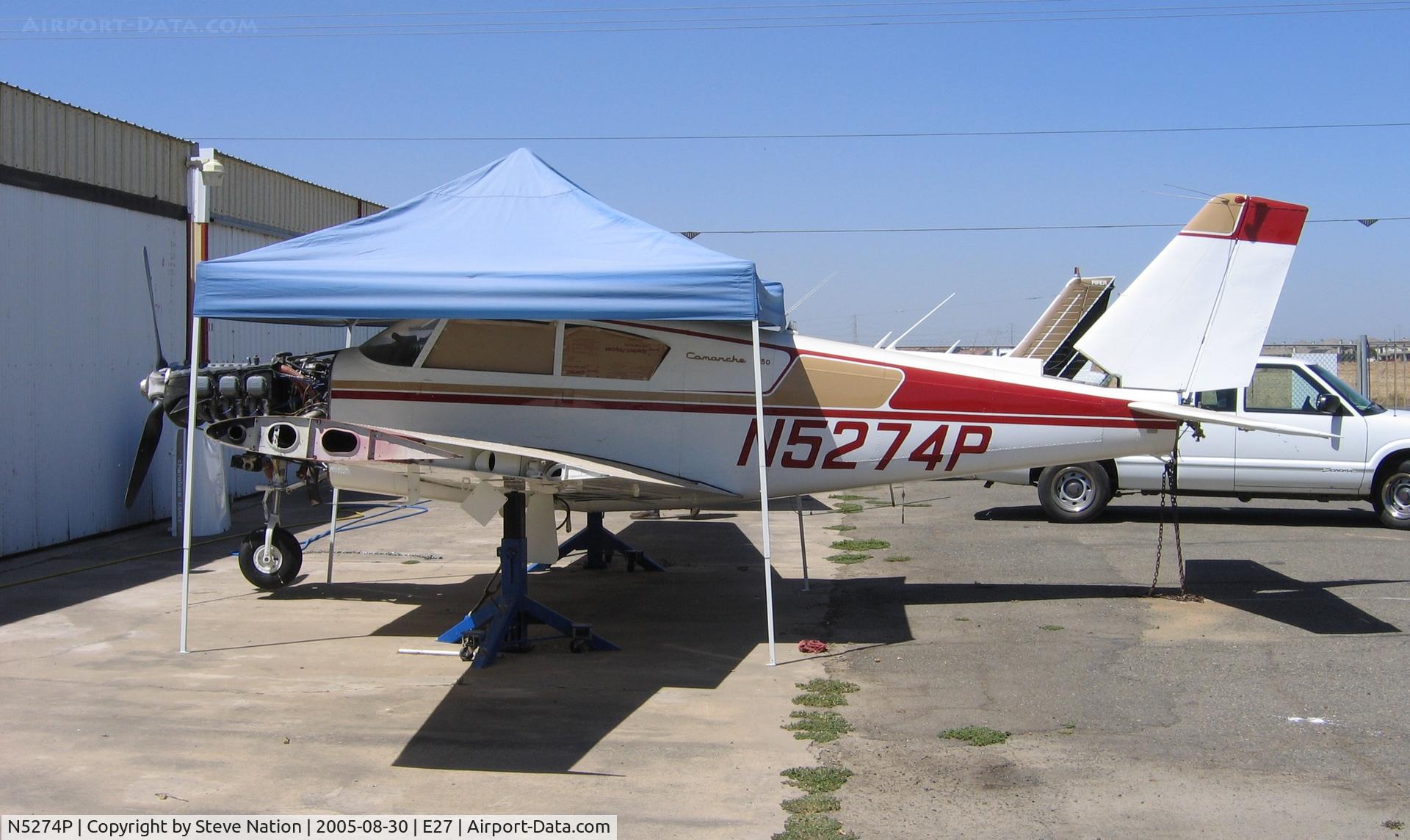 N5274P, 1958 Piper PA-24-250 Comanche C/N 24-313, Gets hot in Sacramento in August -- 1958 PA-24-250 under tent at Elk Grove, CA