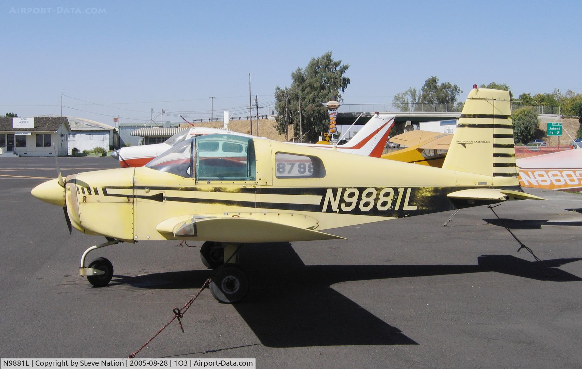 N9881L, 1974 Grumman American AA-1B Trainer C/N AA1B-0481, Scruffy 1974 Grumman American AA-1B @ sunny Lodi Airport, CA