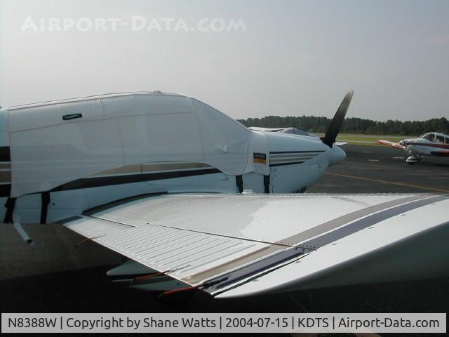 N8388W, 1965 Piper PA-28-180 C/N 28-2592, The Viking Witch's Pajama's