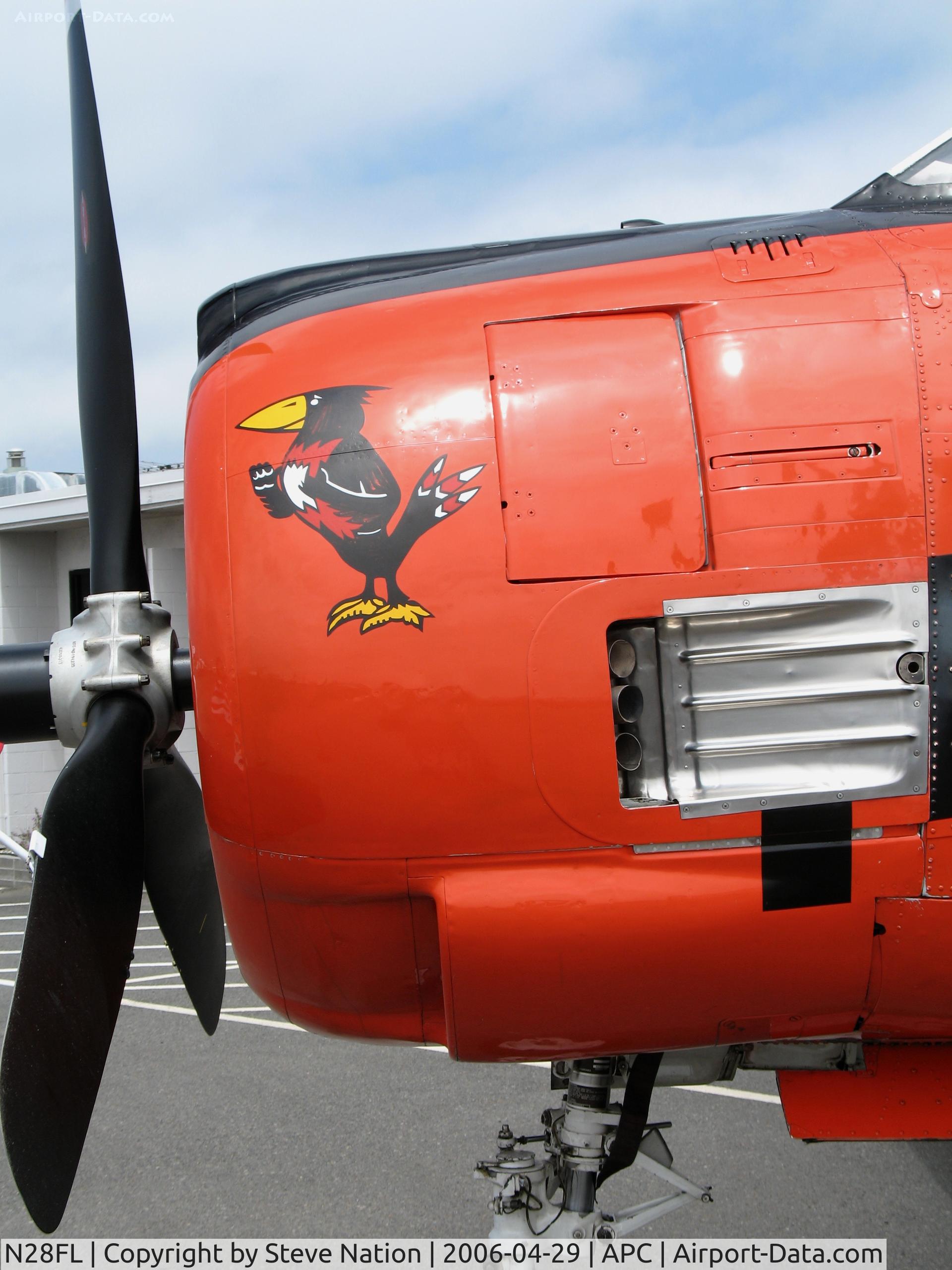 N28FL, 1955 North American T-28B Trojan C/N 200-363, Blackbird nose art on 1955 North American T-28B BuAer 138292 @ Napa County Airport, CA