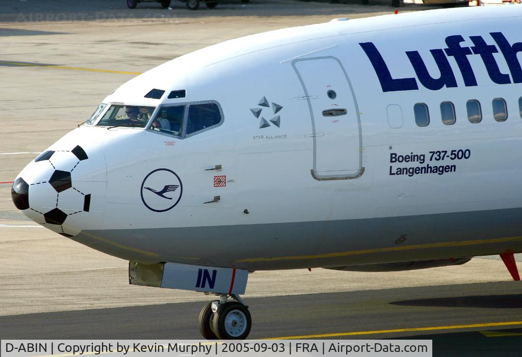D-ABIN, 1991 Boeing 737-530 C/N 24938, World Cup fever in Germany.
