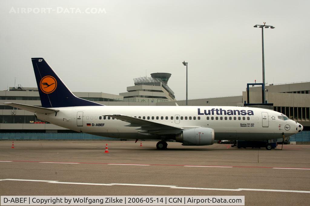 D-ABEF, 1991 Boeing 737-330 C/N 25217, soccer nose