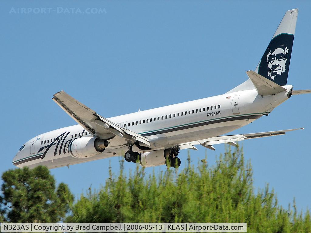 N323AS, 2004 Boeing 737-990 C/N 30021, Alaska Airlines / 2004 Boeing 737-990 / I've seen a kite stuck in a tree but an airplane!?!?!?! It's gonna take some serious shakin' to get this sucker down!