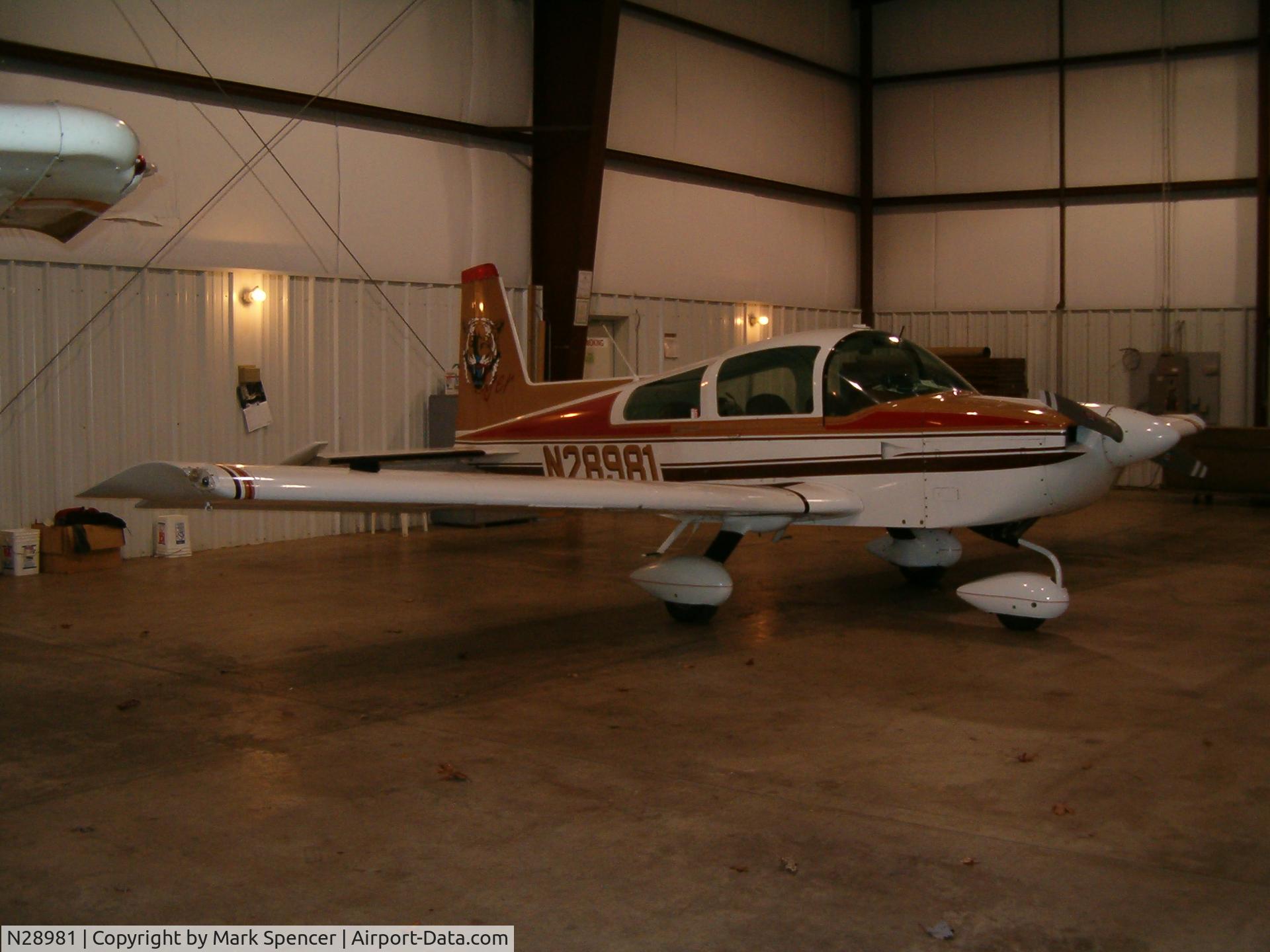 N28981, 1978 Gulfstream American Corp AA-5B C/N AA5B0919, Grumman American AA5B 1979