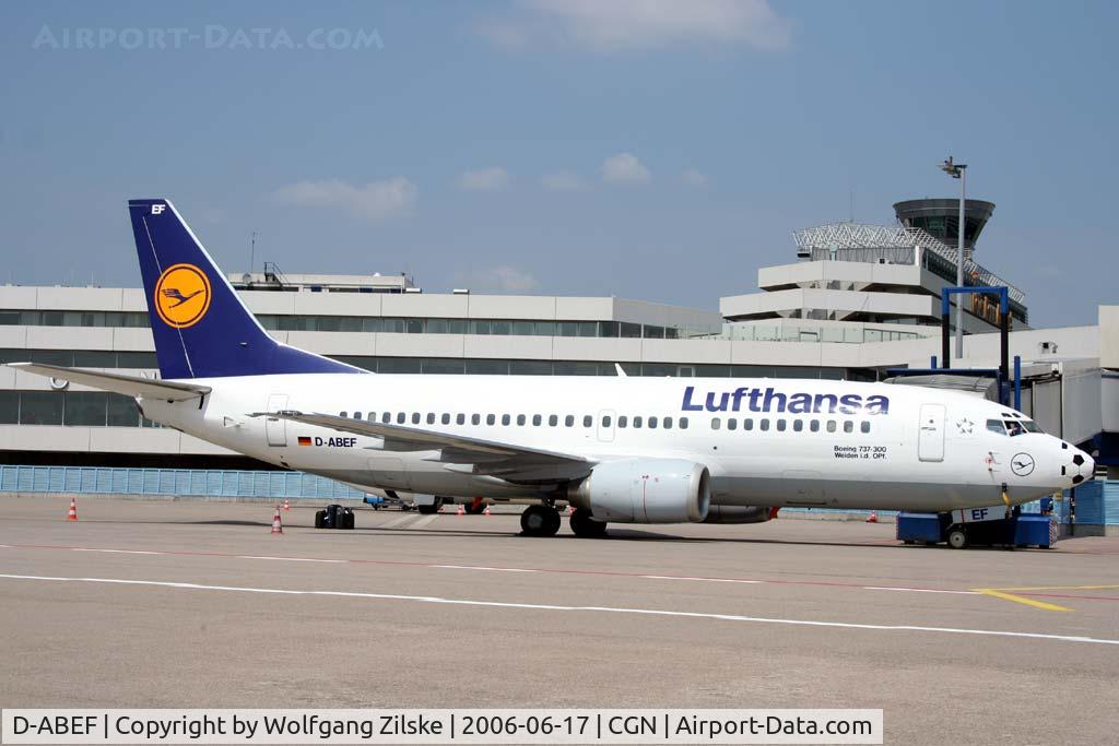 D-ABEF, 1991 Boeing 737-330 C/N 25217, soccer nose