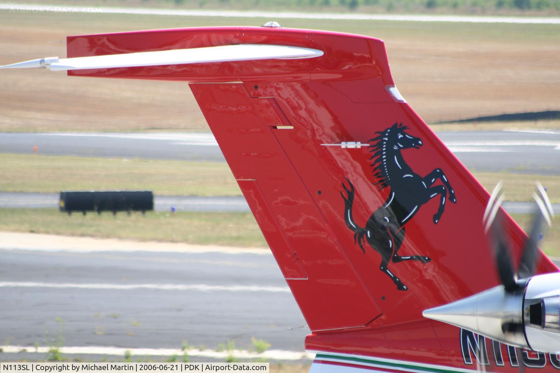 N113SL, 1993 Piaggio P-180 Avanti C/N 1020, Tail Art